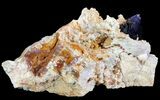 Large Azurite Crystal on Druzy Quartz - Morocco #74684-3